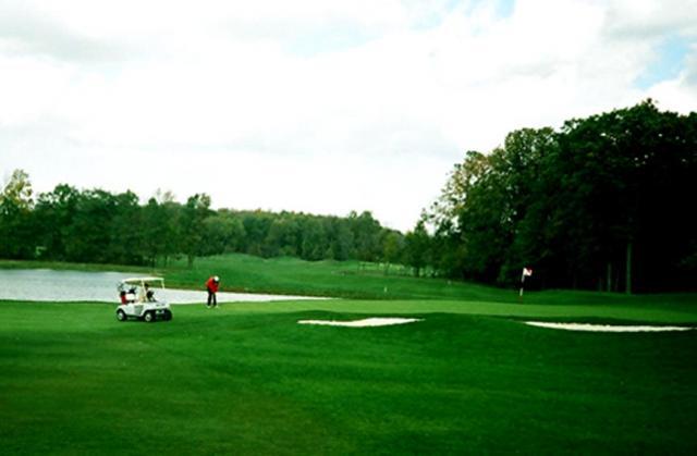 6_Green_from_side_3622.jpg